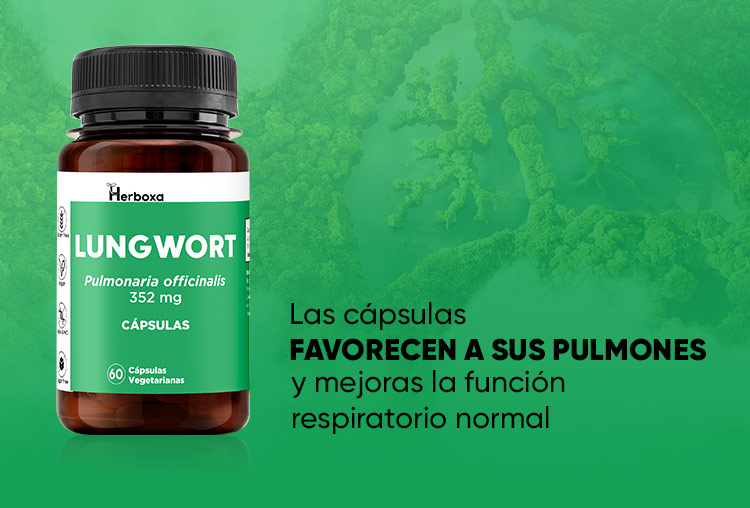 Herboxa Lungwort | Suplemento alimenticio para la salud pulmonar