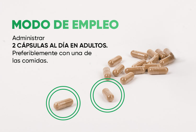 Herboxa Lungwort | Suplemento alimenticio para la salud pulmonar