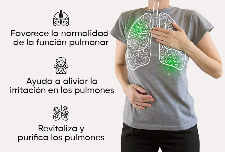 Herboxa Lungwort | Suplemento alimenticio para la salud pulmonar